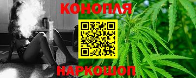 стаф Кингисепп