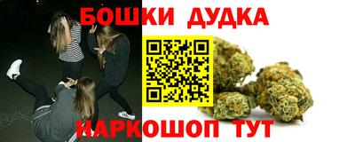 стаф Кингисепп
