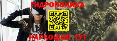 a pvp Кинель