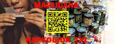 стаф Кингисепп