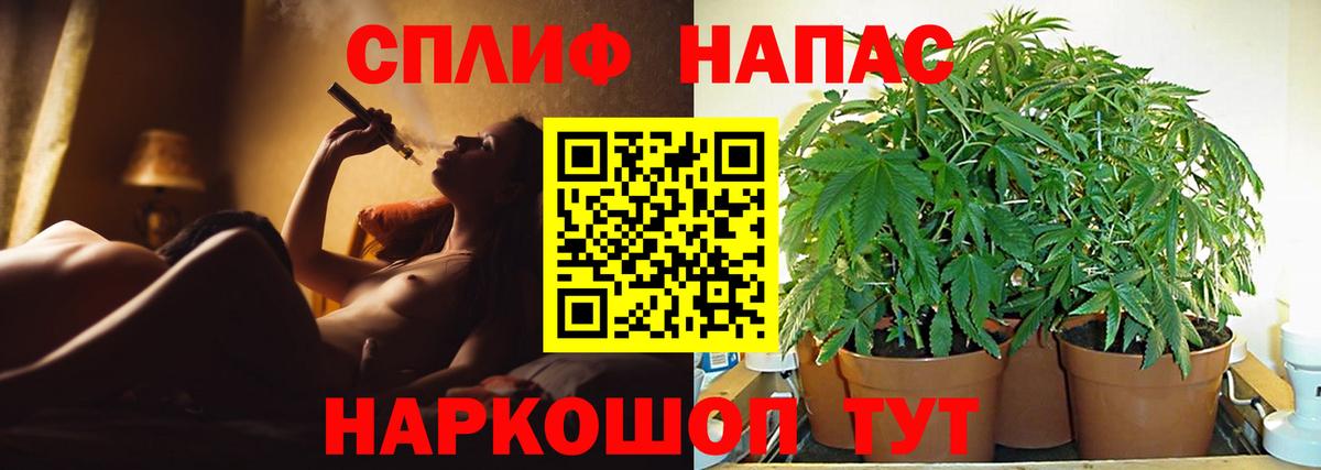 МАРИХУАНА конопля Алапаевск